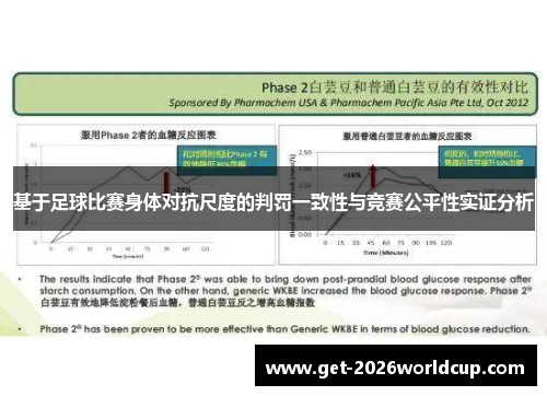 基于足球比赛身体对抗尺度的判罚一致性与竞赛公平性实证分析 基于足球比赛身体对抗尺度的判罚一致性与竞赛公平性实证分析